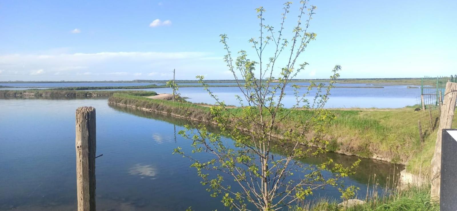 Casa Vacanze Nel Delta Del Po Taglio di Po Extérieur photo
