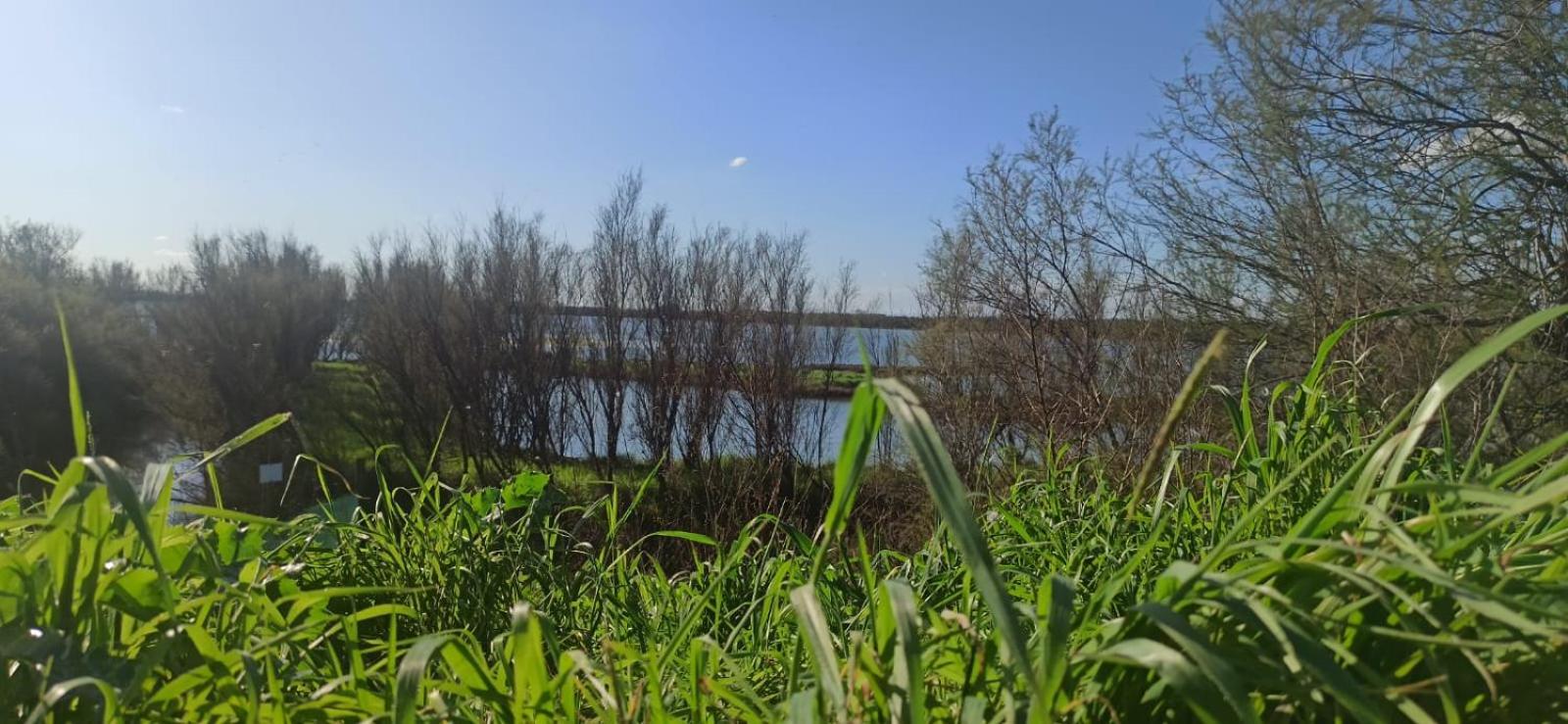 Casa Vacanze Nel Delta Del Po Taglio di Po Extérieur photo