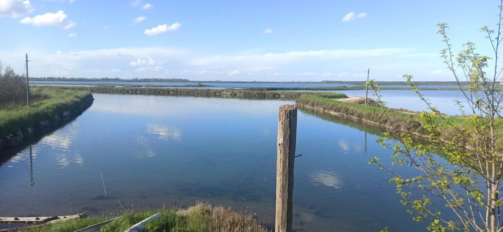 Casa Vacanze Nel Delta Del Po Taglio di Po Extérieur photo