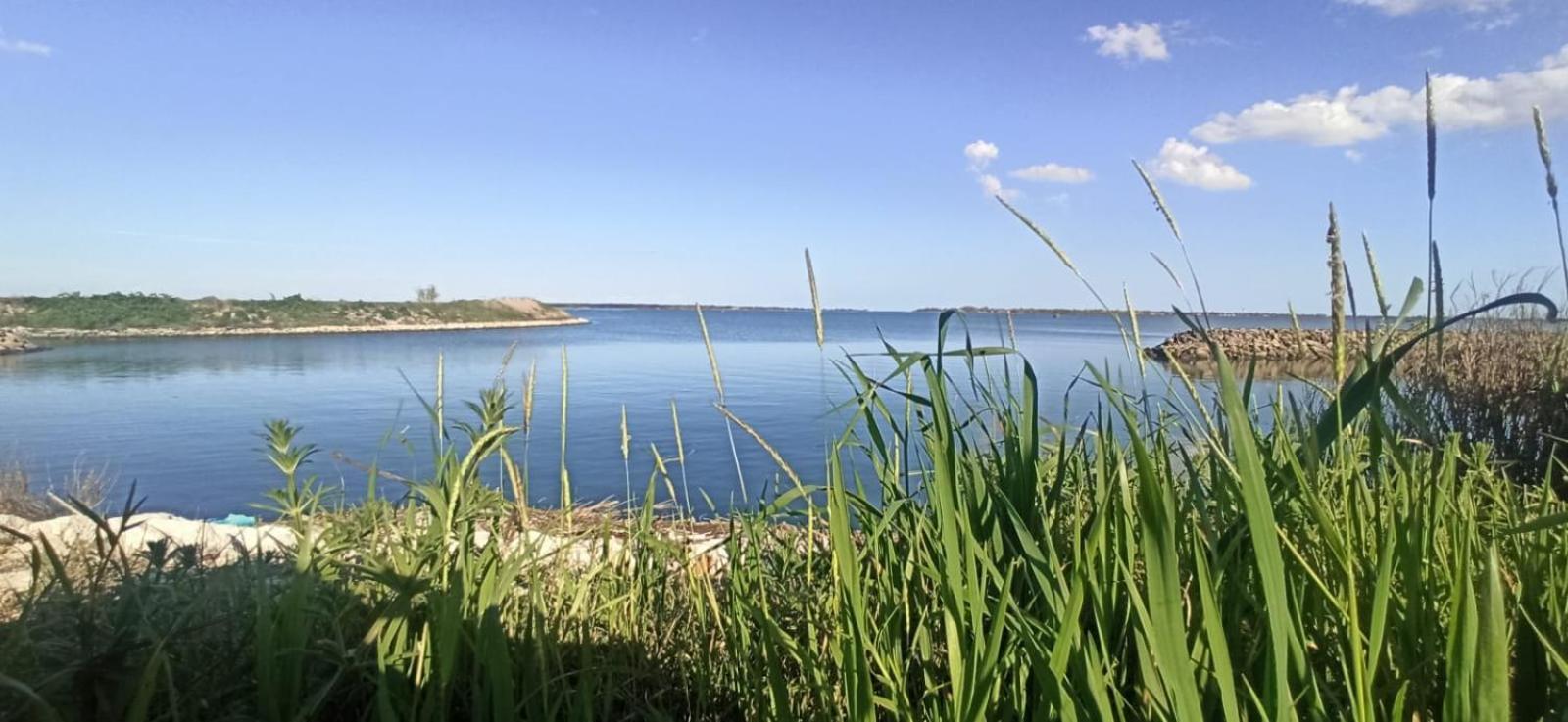 Casa Vacanze Nel Delta Del Po Taglio di Po Extérieur photo