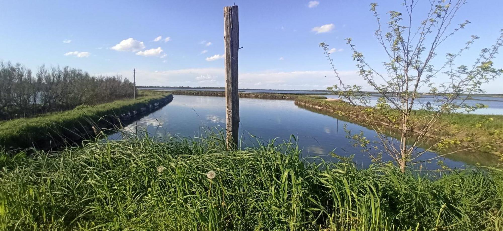 Casa Vacanze Nel Delta Del Po Taglio di Po Extérieur photo