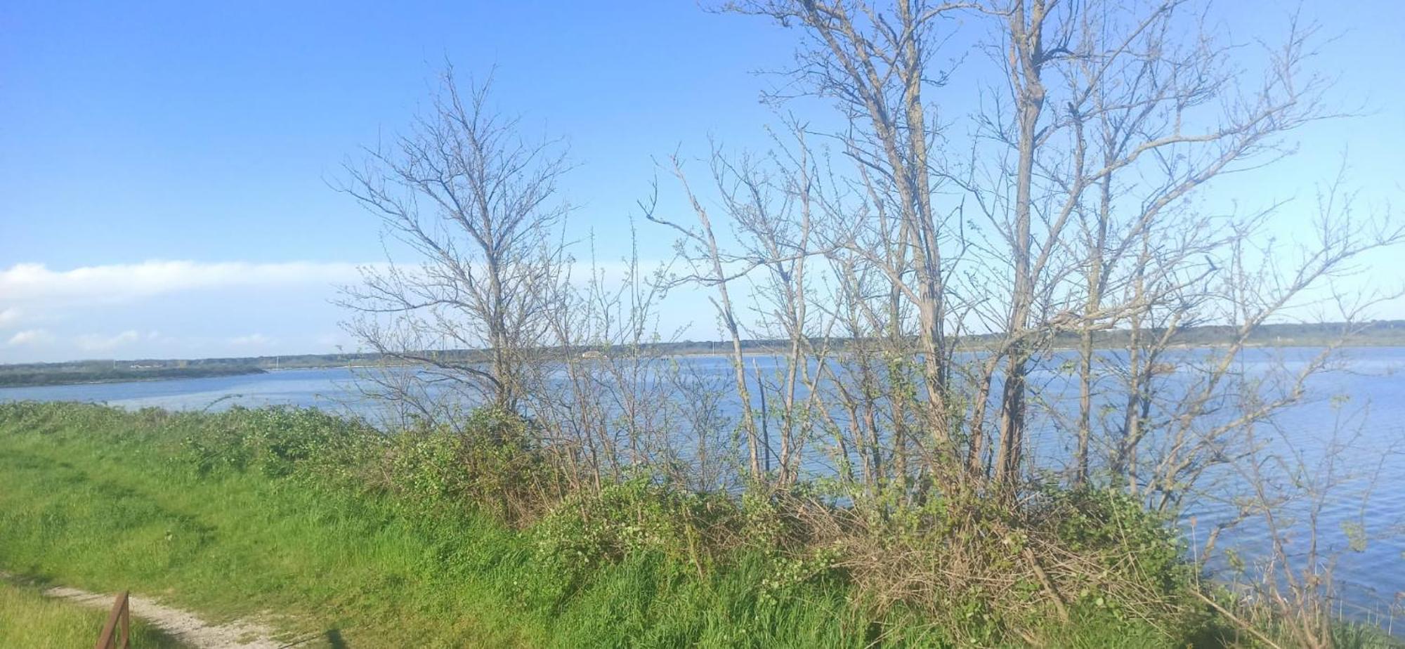 Casa Vacanze Nel Delta Del Po Taglio di Po Extérieur photo