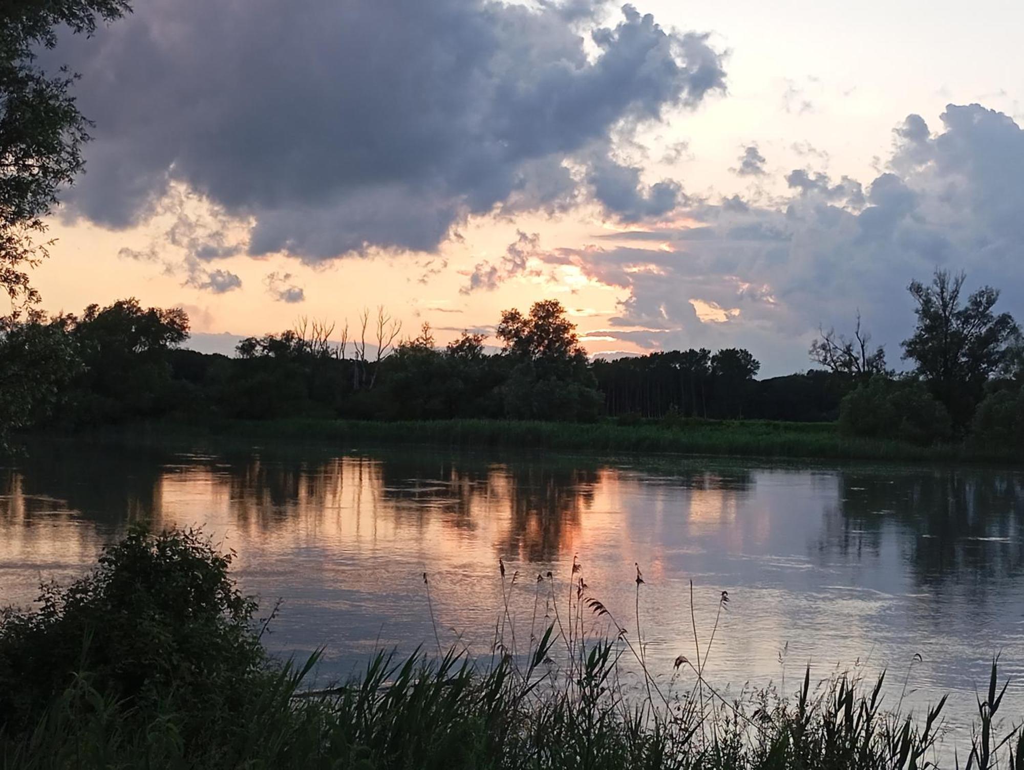 Casa Vacanze Nel Delta Del Po Taglio di Po Extérieur photo